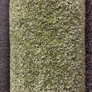 Four Leaf Clover Jan 26