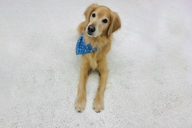 Stair Runners Example
